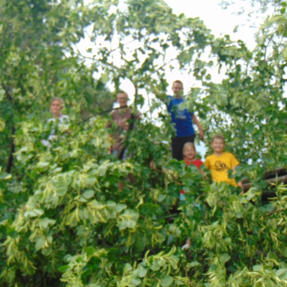 Meet your Posher, Greta - Picture 1 of 1